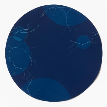 Untitled (blueprint 2), cyanotype on hot-pressed watercolour paper, 37cm diameter, 2014-2015