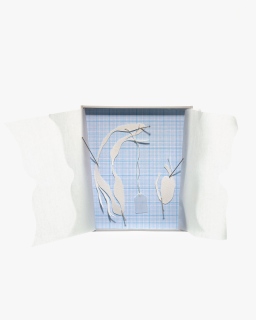 Untitled (boxed specimen 6), mount board, acid-free tissue, graph paper, cotton-rag paper, stainless steel dressmaking pins, silk thread, tracing paper tag, 9.3cm x 8.3cm (17cm including 'curtains') x 1.5cm, 2012