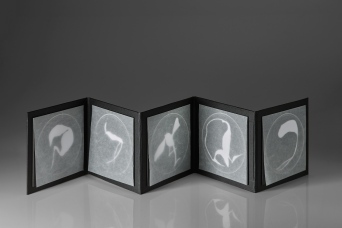 Untitled (unknown specimens photogram book 1), photograms on resin-coated paper with glassine, box board, mount board, 19.7cm x up to 98.5cm x .3 open, 19.7cm x 19.7cm x 3cm closed, 2015