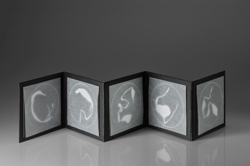 Untitled (unknown specimens photogram book 2), photograms on resin-coated paper with glassine, box board, mount board, 19.7cm x up to 98.5cm x .3cm open, 19.7cm x 19.7cm x 3cm closed, 2015