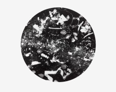 Unnatural Collection 4, photogram on resin coated photographic paper, 40.6cm x 50.8cm, 2016